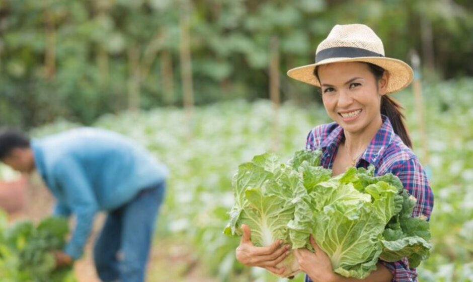 Farm Hand Required for Canada