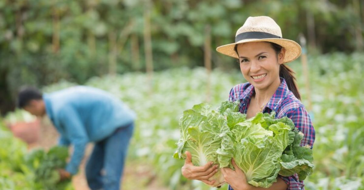 Farm Hand Required for Canada