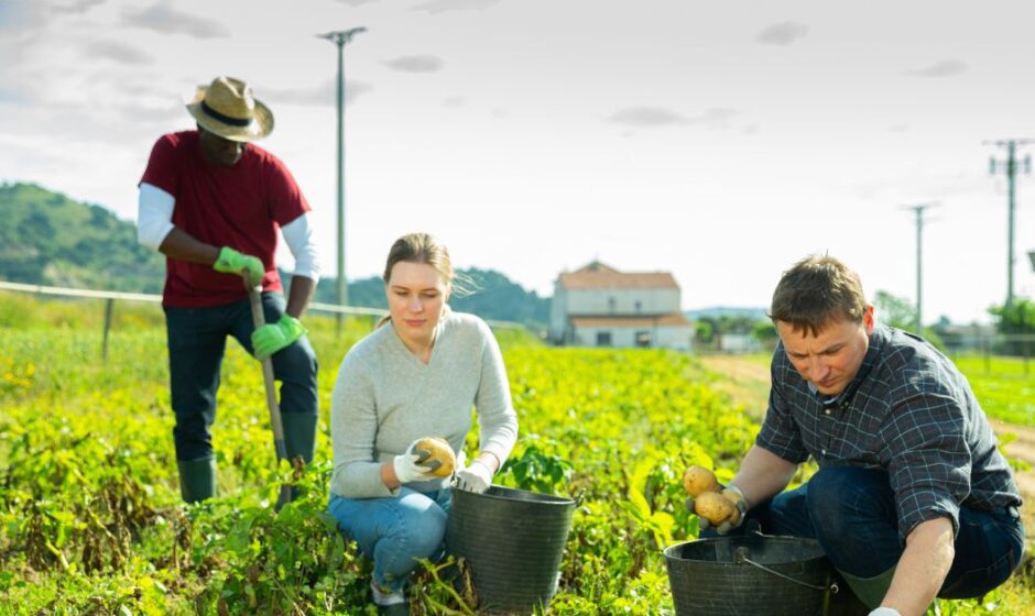 6 General Farm Workers Needed in Canada