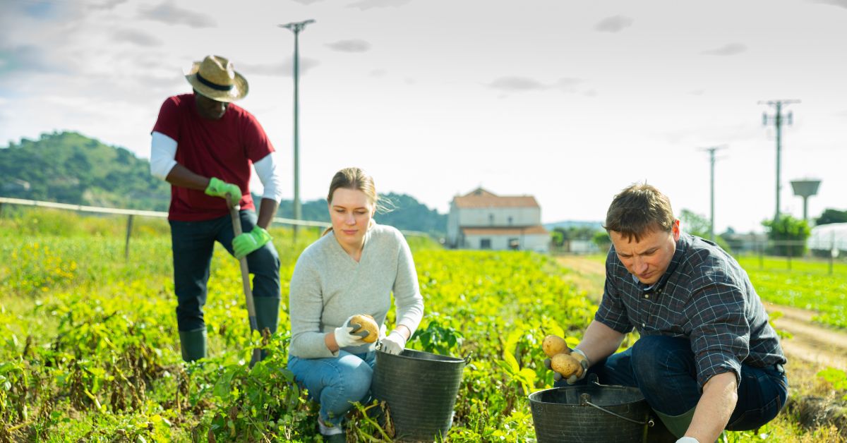 6 General Farm Workers Needed in Canada