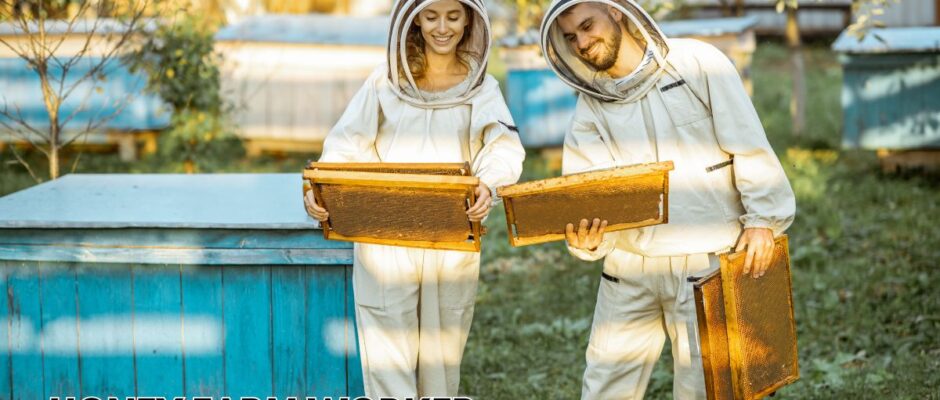 Honey Farm Worker Required for Canada