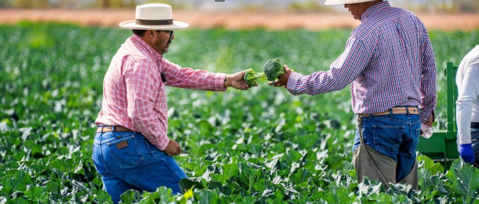 Farm Foreman Required in Canada