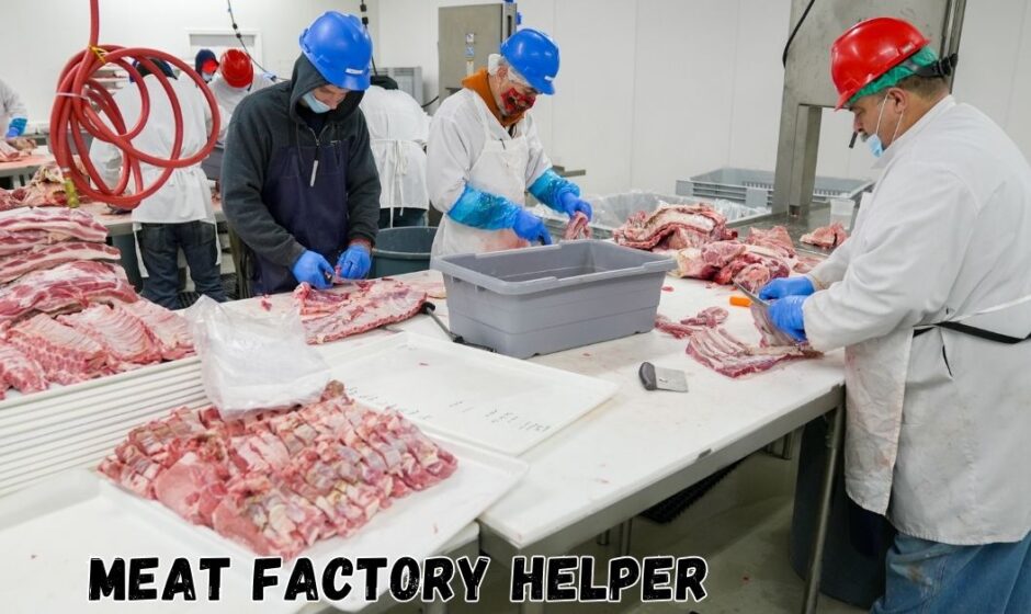 Meat Factory Helper Jobs in Dubai