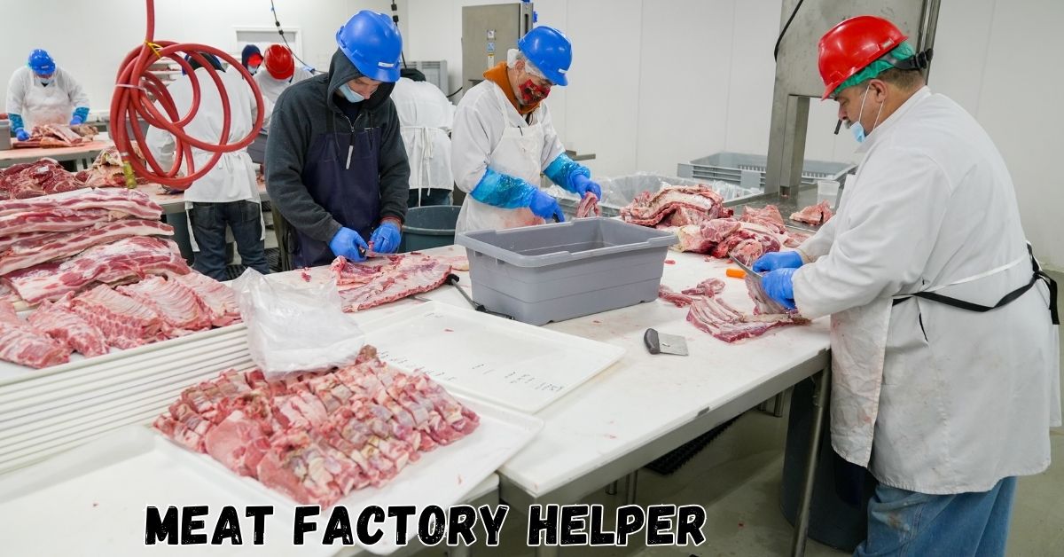Meat Factory Helper Jobs in Dubai 2024